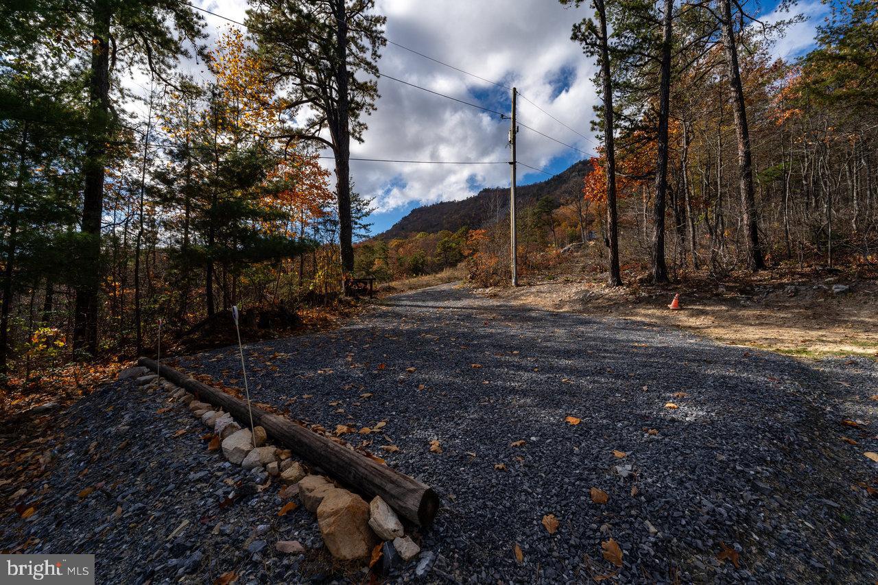 SHENANDOAH FOREST - Residential