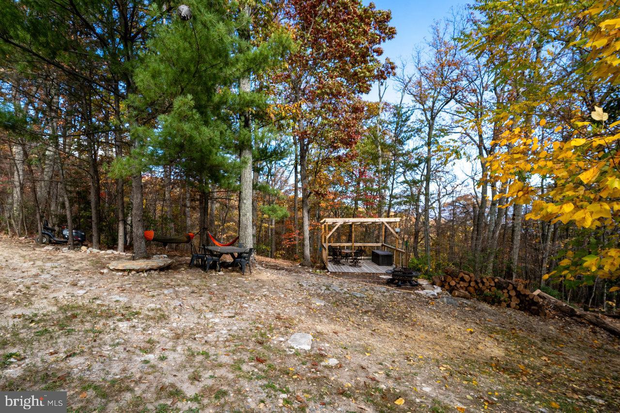 SHENANDOAH FOREST - Residential