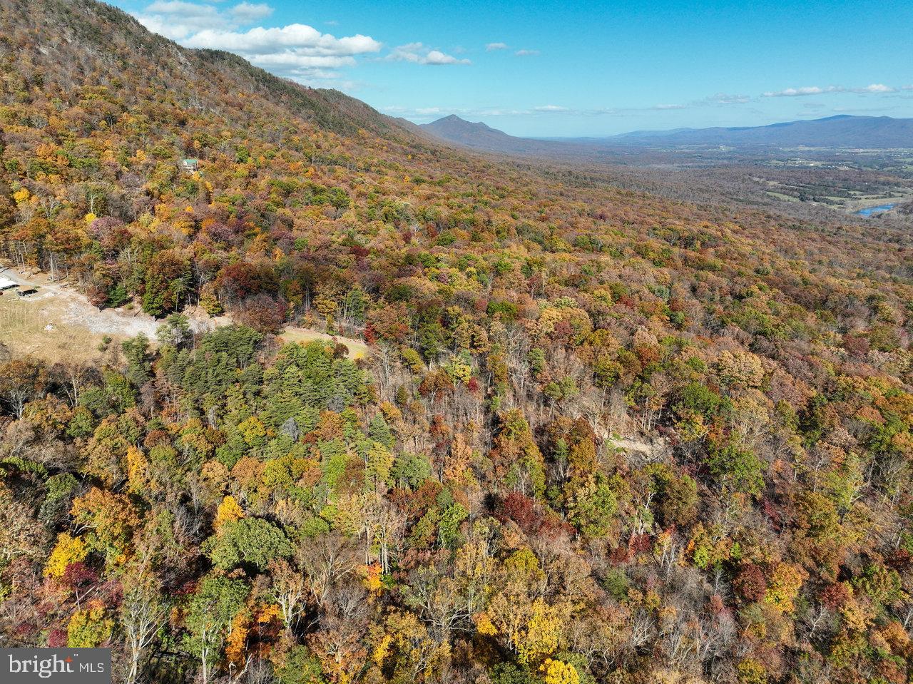 SHENANDOAH FOREST - Residential