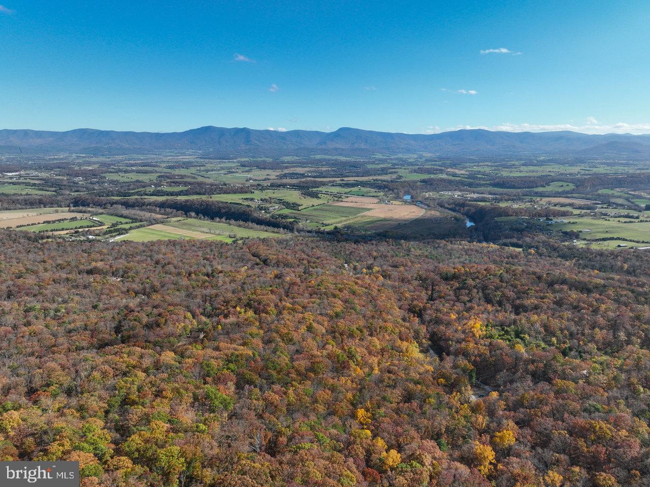 SHENANDOAH FOREST - Residential