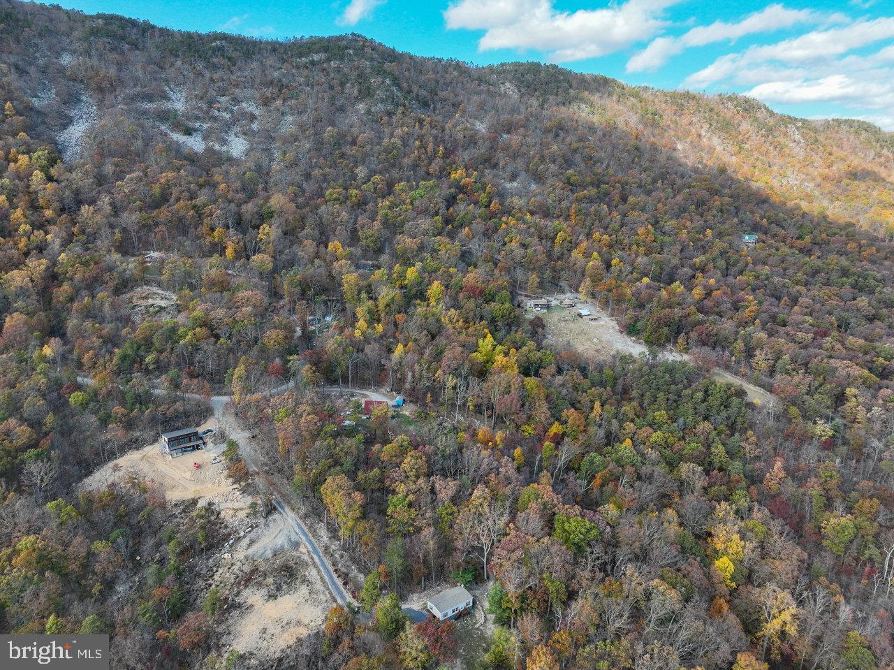 SHENANDOAH FOREST - Residential