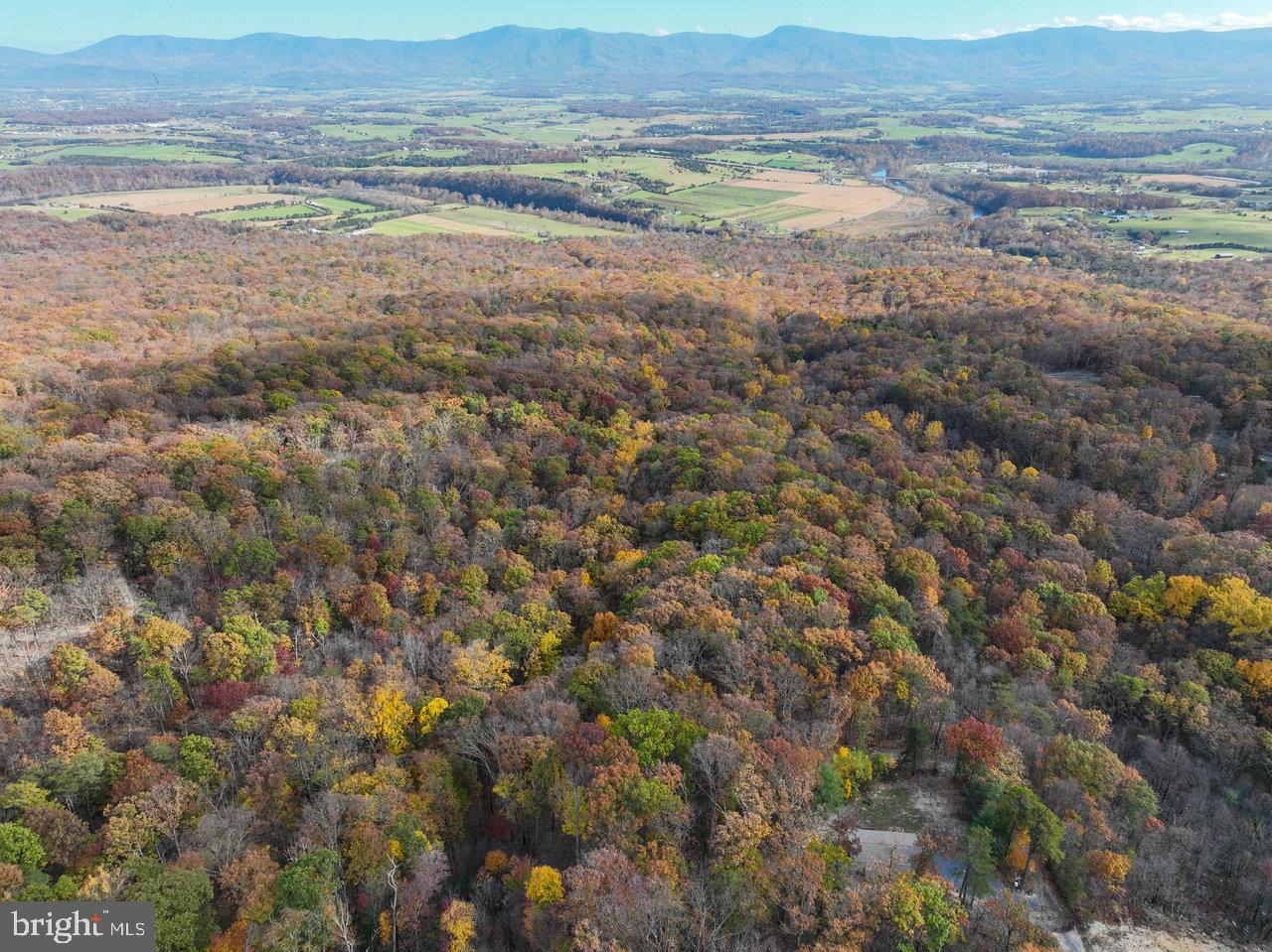 SHENANDOAH FOREST - Residential
