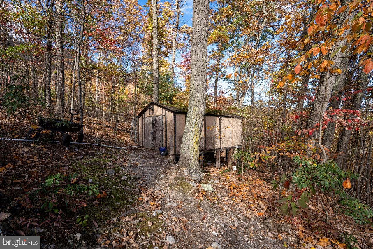 SHENANDOAH FOREST - Residential