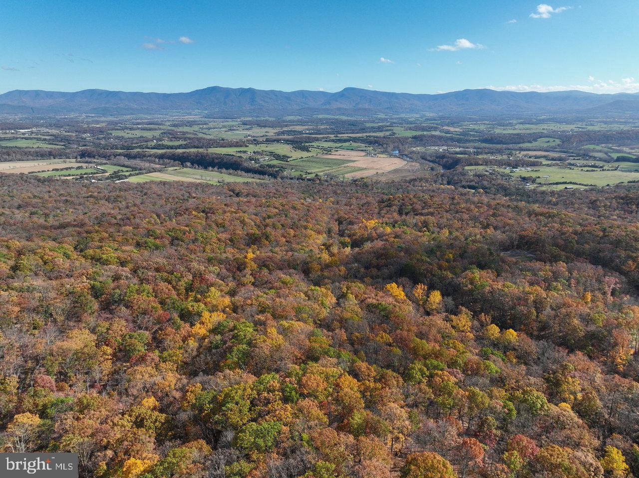 SHENANDOAH FOREST - Residential