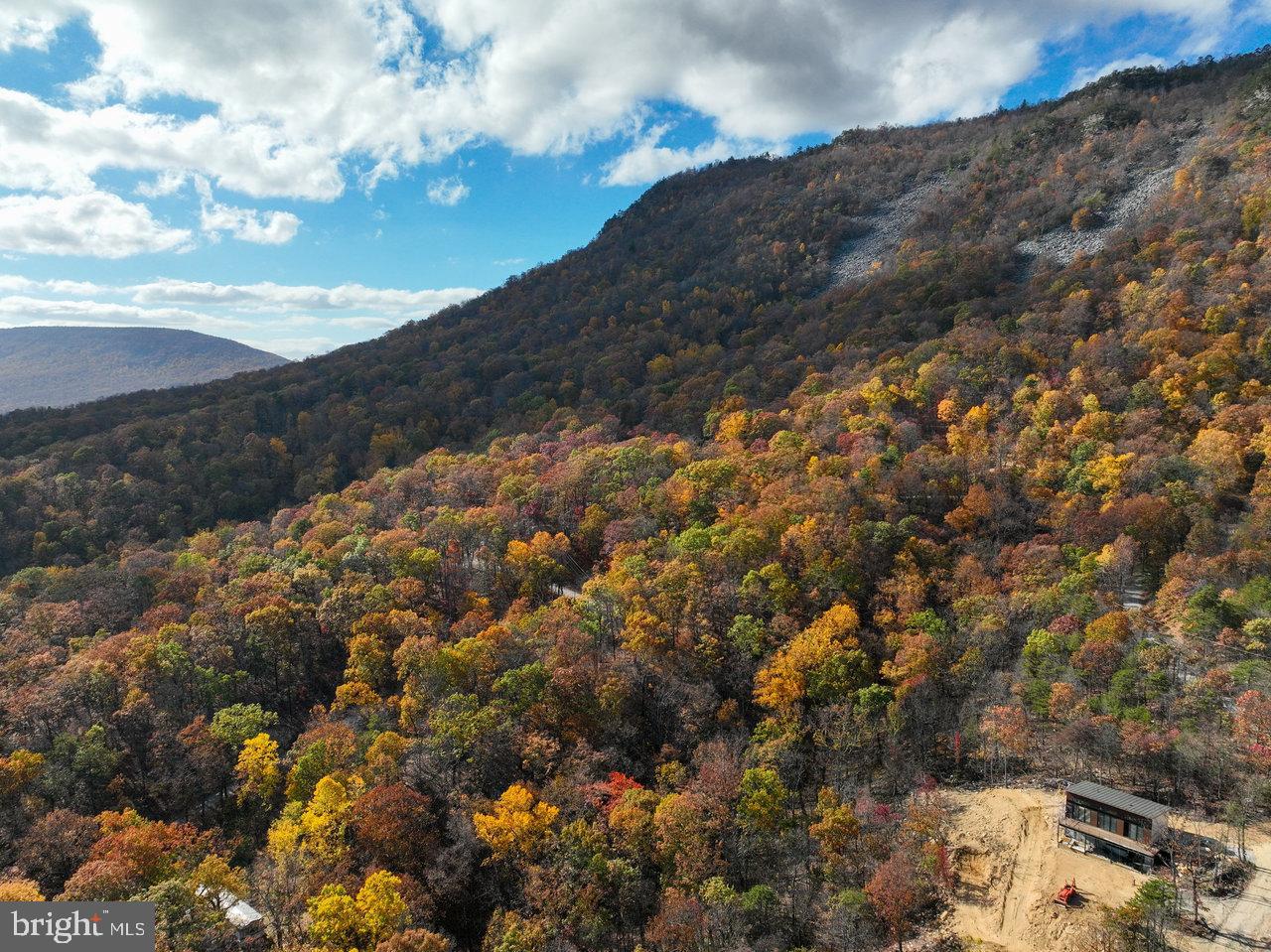 SHENANDOAH FOREST - Residential