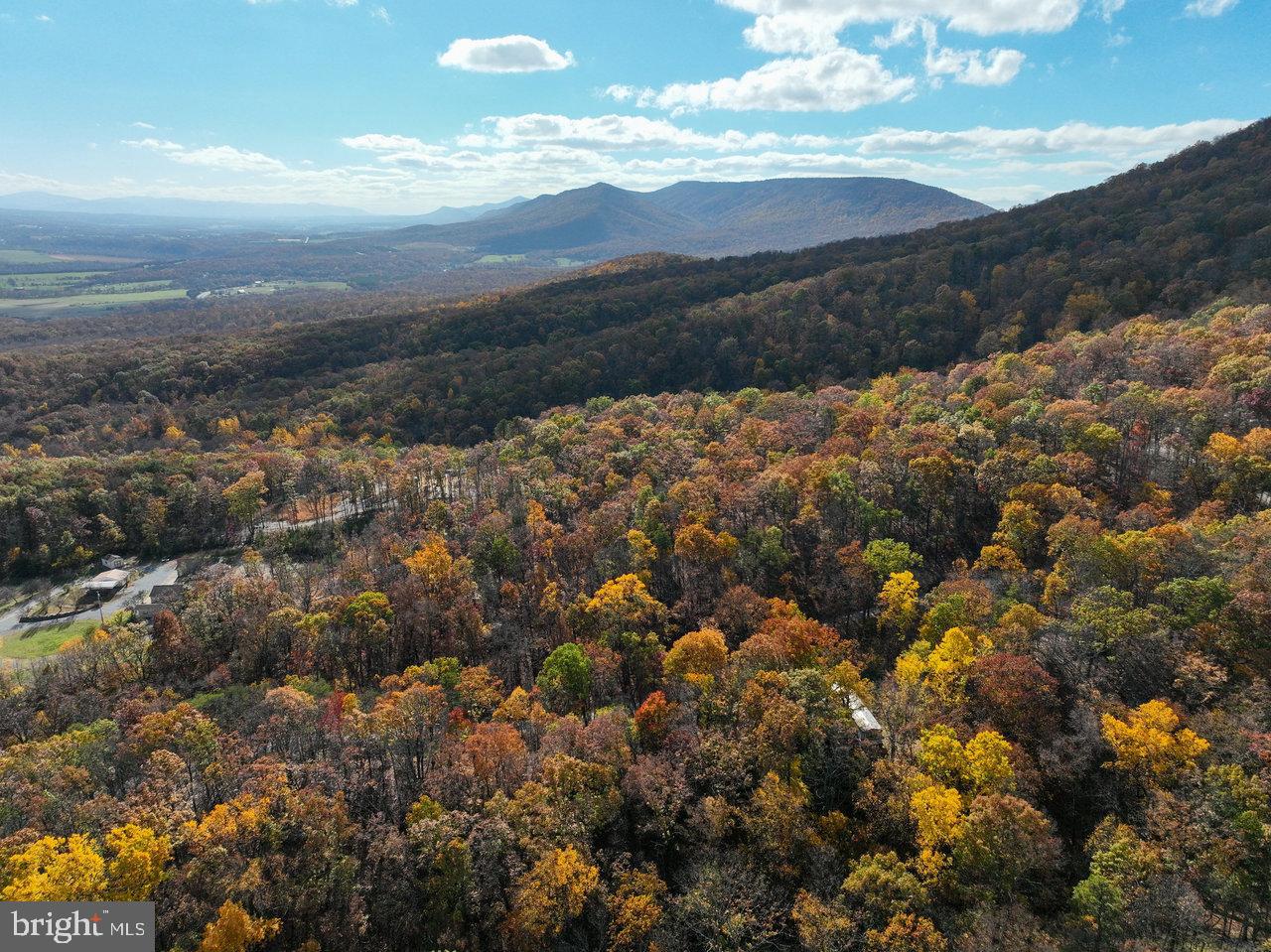 SHENANDOAH FOREST - Residential
