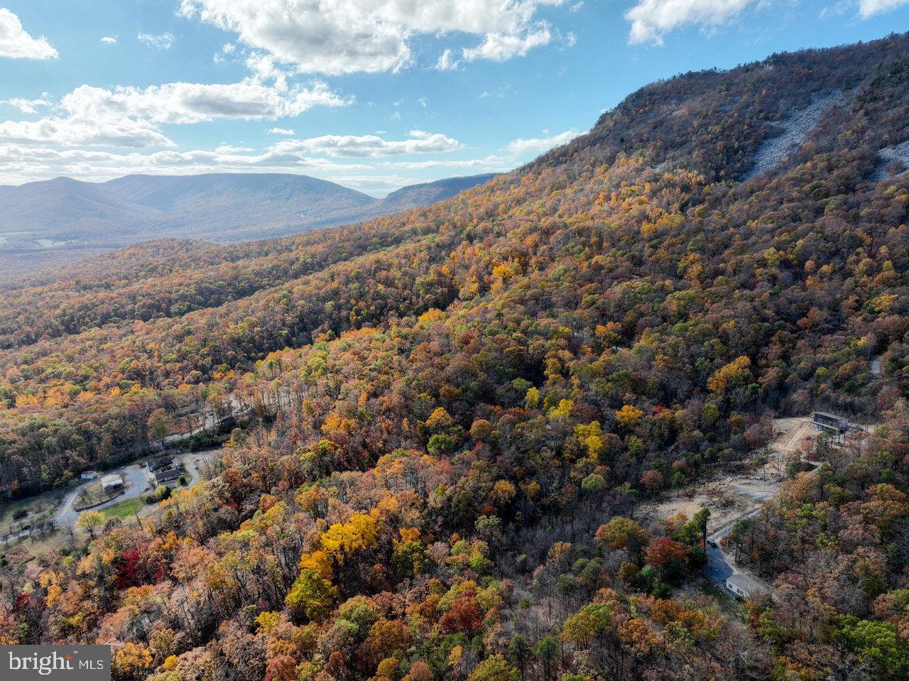 SHENANDOAH FOREST - Residential