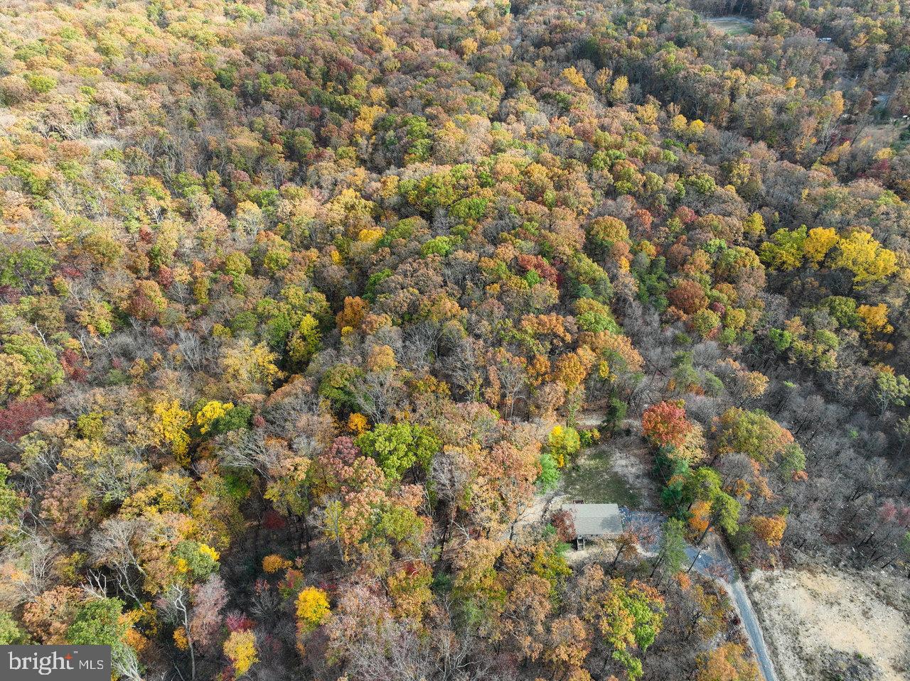 SHENANDOAH FOREST - Residential