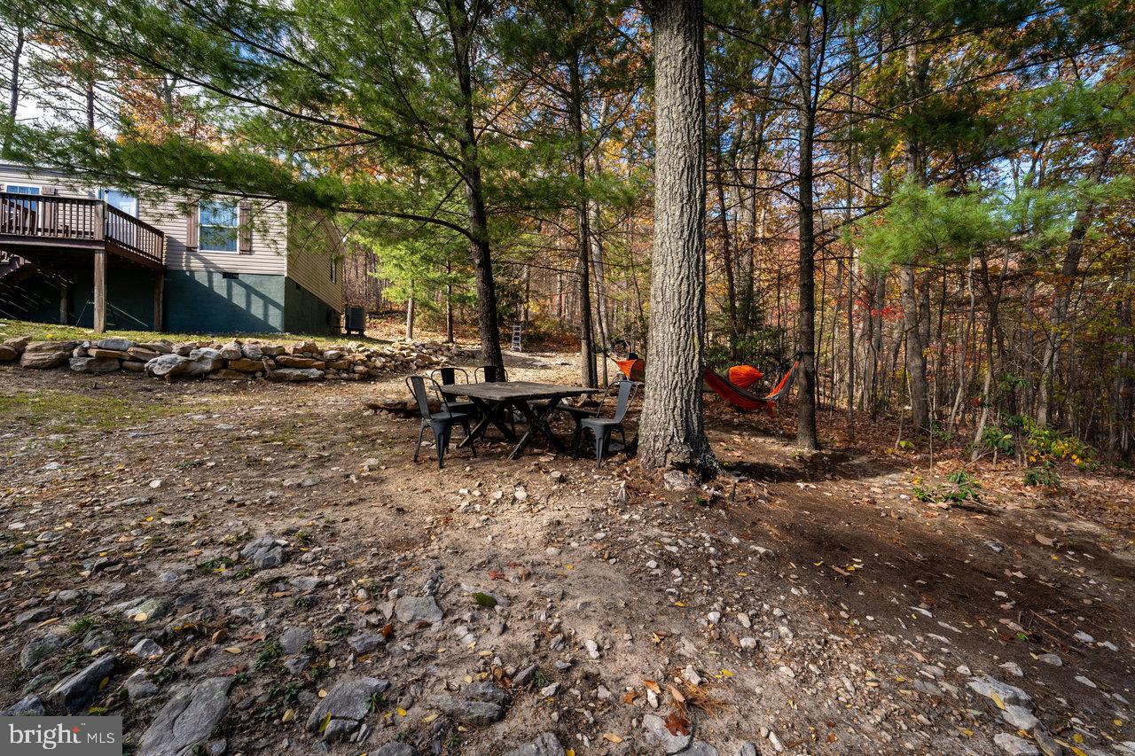 SHENANDOAH FOREST - Residential