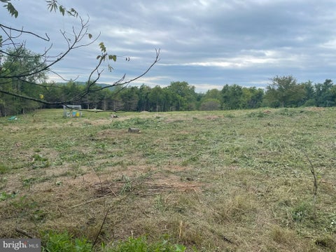 Vacant Land For Sale - Hawthorne Drive<br/> Orange County, RAPIDAN, VA 22733