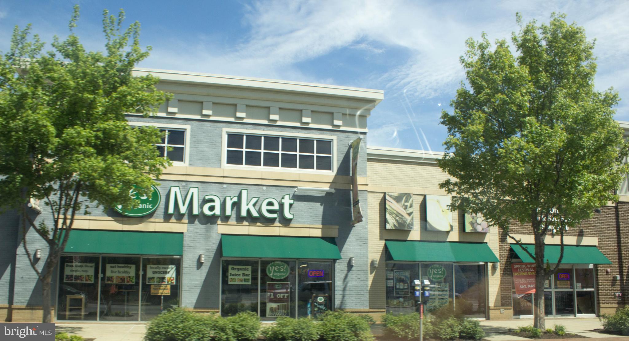 THE OGLETHORPE - Residential