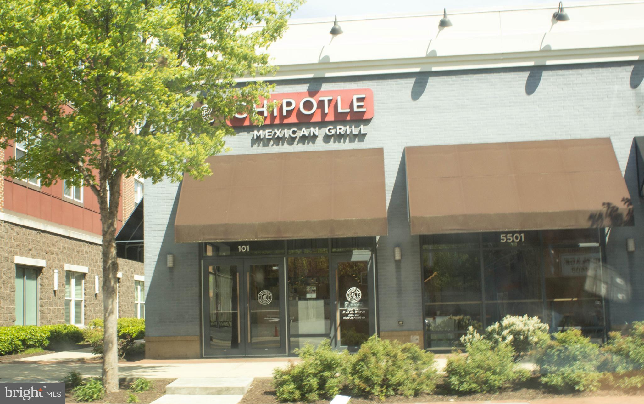 THE OGLETHORPE - Residential