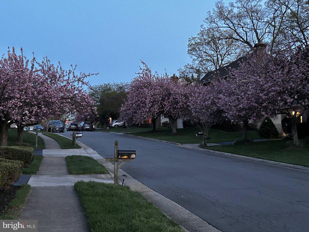 ASHBURTON OAKS - Residential