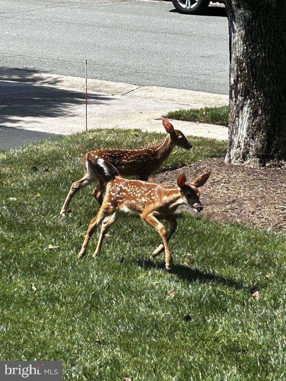 ASHBURTON OAKS - Residential