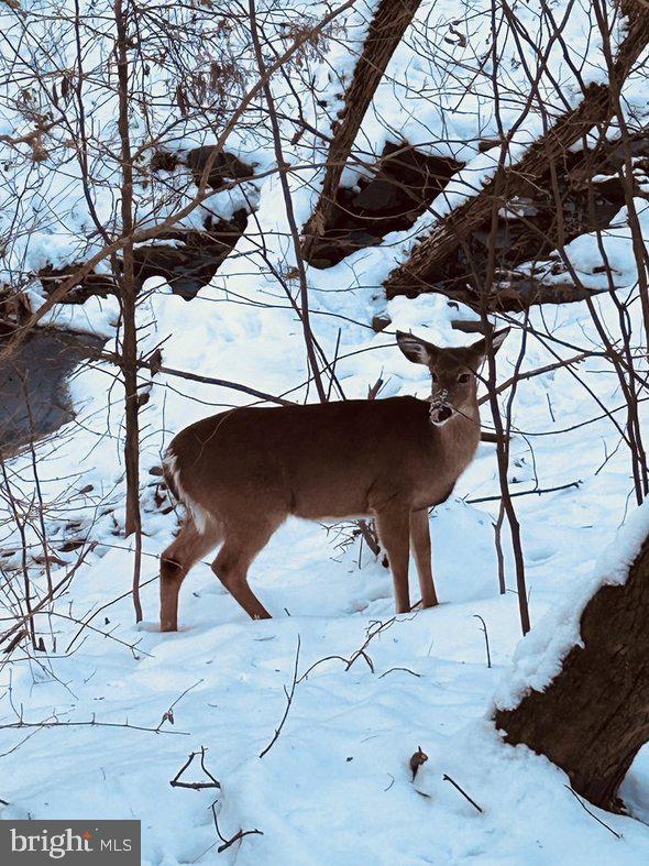 ASHBURTON OAKS - Residential