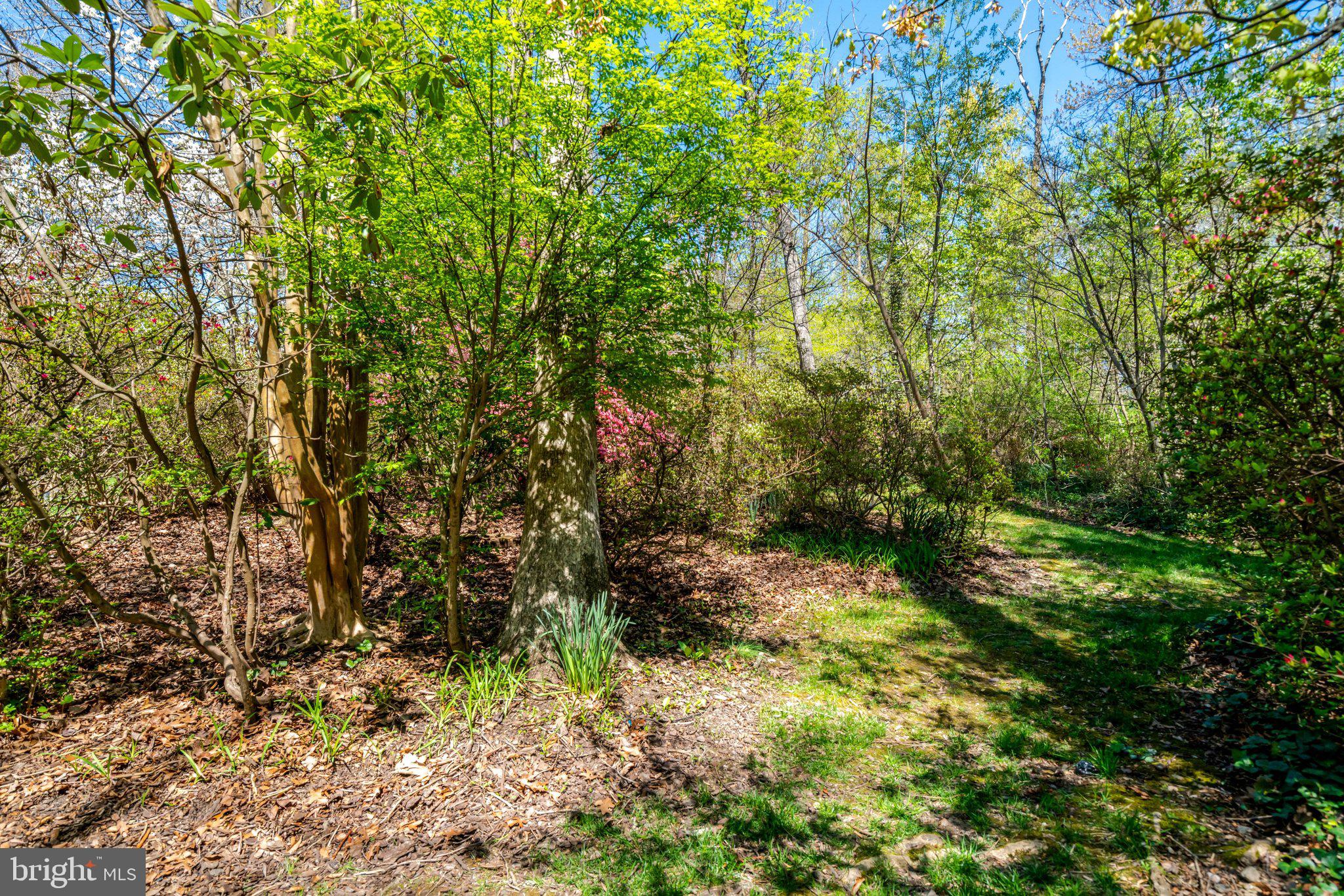 COLUMBIA OAKS - Residential