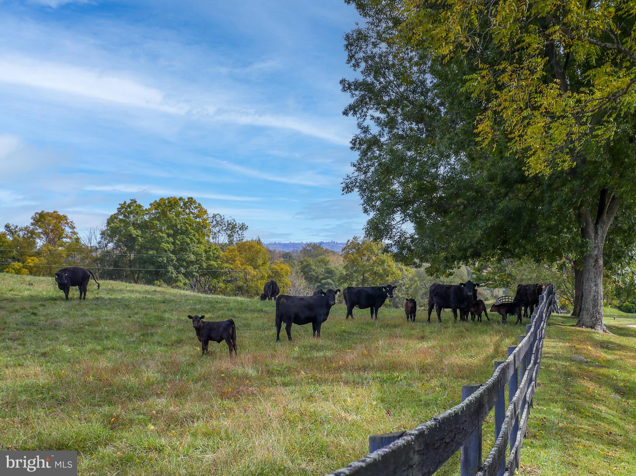 MEETINGHOUSE FARM - Residential