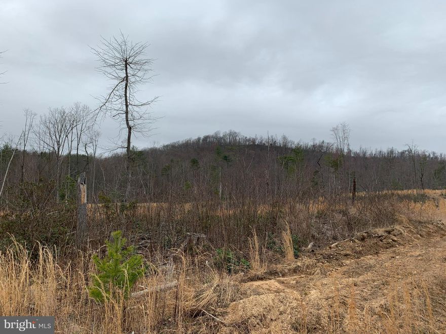 3 Acre lot to be surveyed upon contract, cleared house site, Mountain Views, private.  Build your dream home on the flat knoll with Mountain  & pastoral views glaring at you. Restrictions and road maintenance agreement.