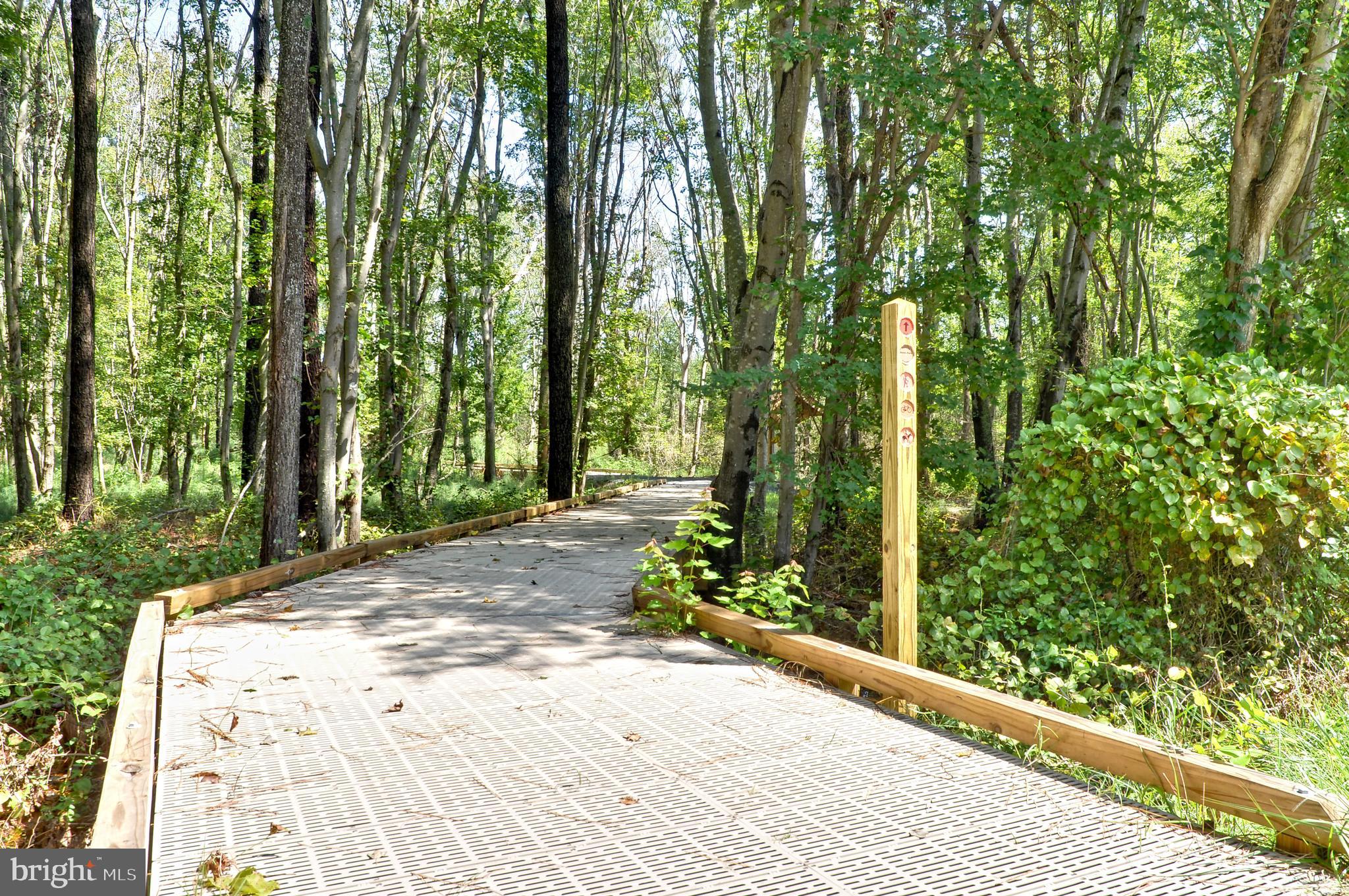 BETHANY WOODS - Residential