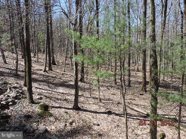 SPRING HILL ACRES - Residential