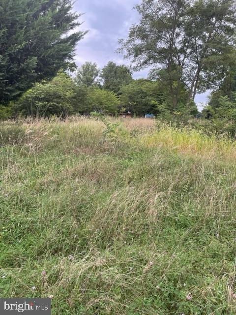 40 COLD SPRINGS ROAD