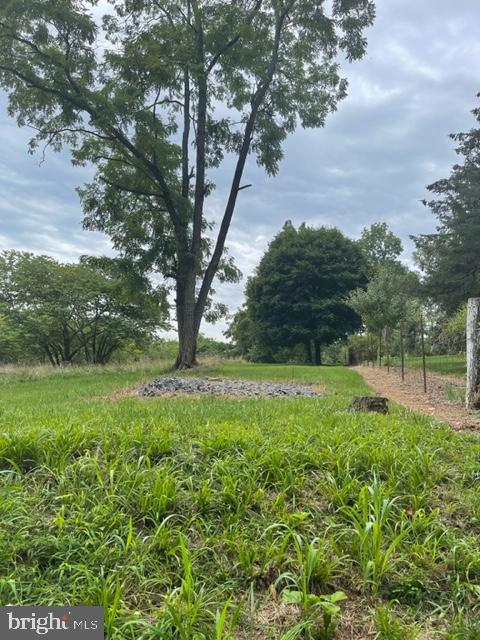 40 COLD SPRINGS ROAD