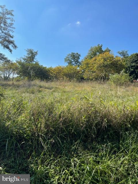 40 COLD SPRINGS ROAD