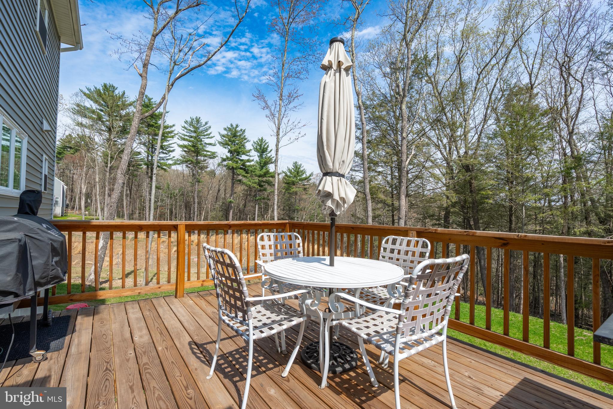 131 CHINABERRY WAY