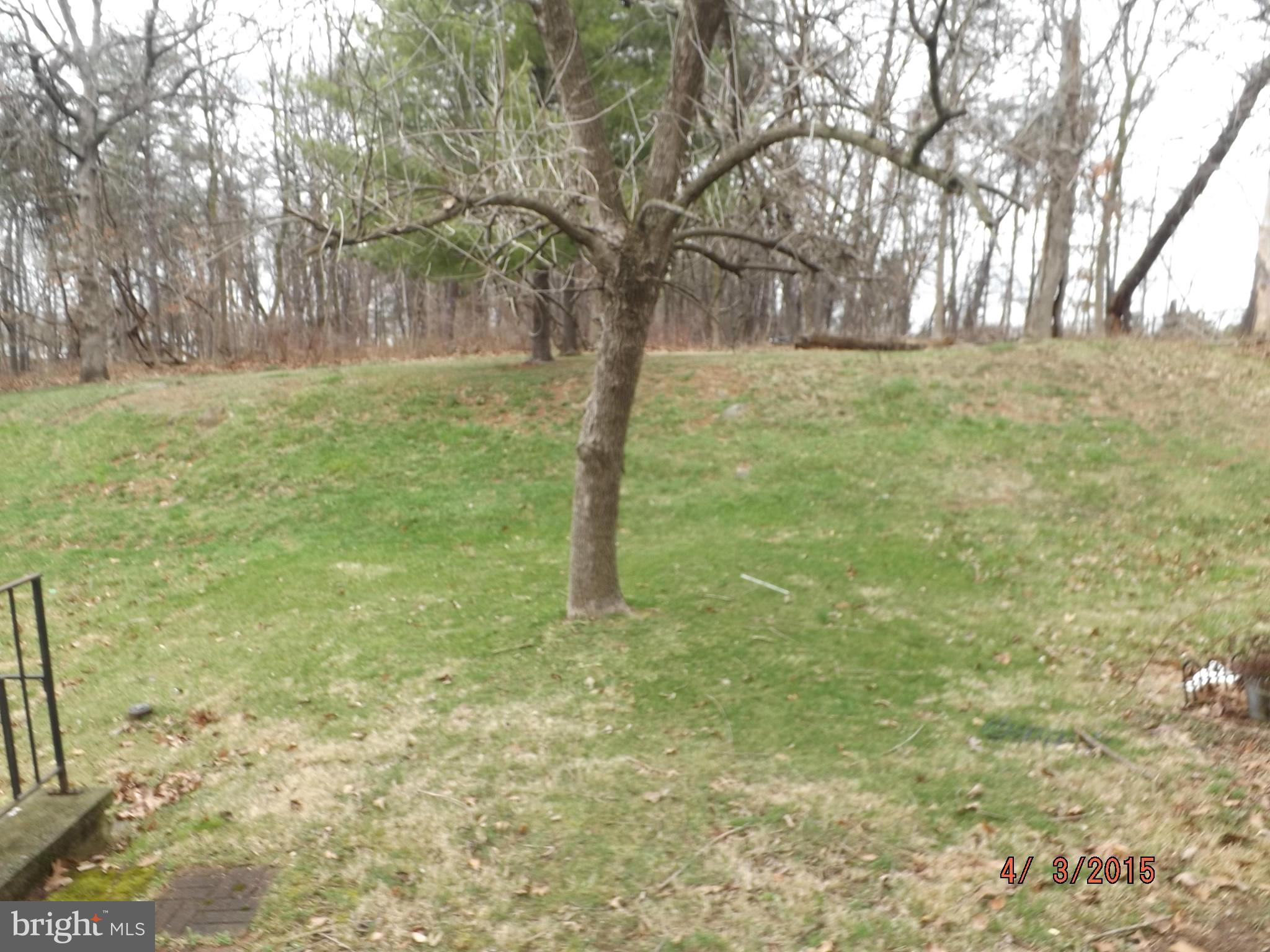 COURTLAND WOODS - Residential