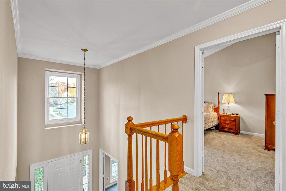 LITTLE ROCKY RUN - Residential