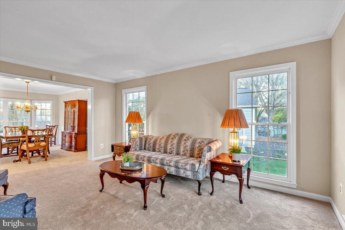 LITTLE ROCKY RUN - Residential