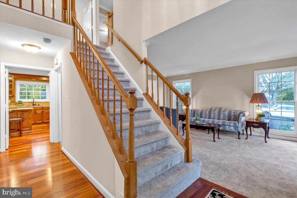 LITTLE ROCKY RUN - Residential