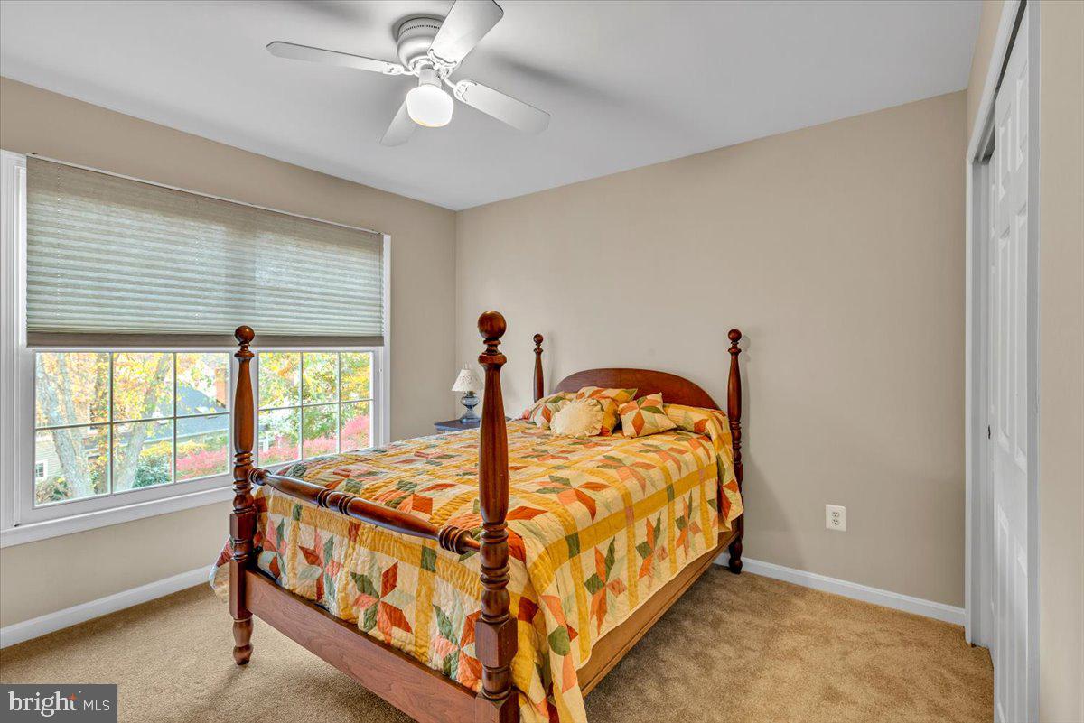 LITTLE ROCKY RUN - Residential