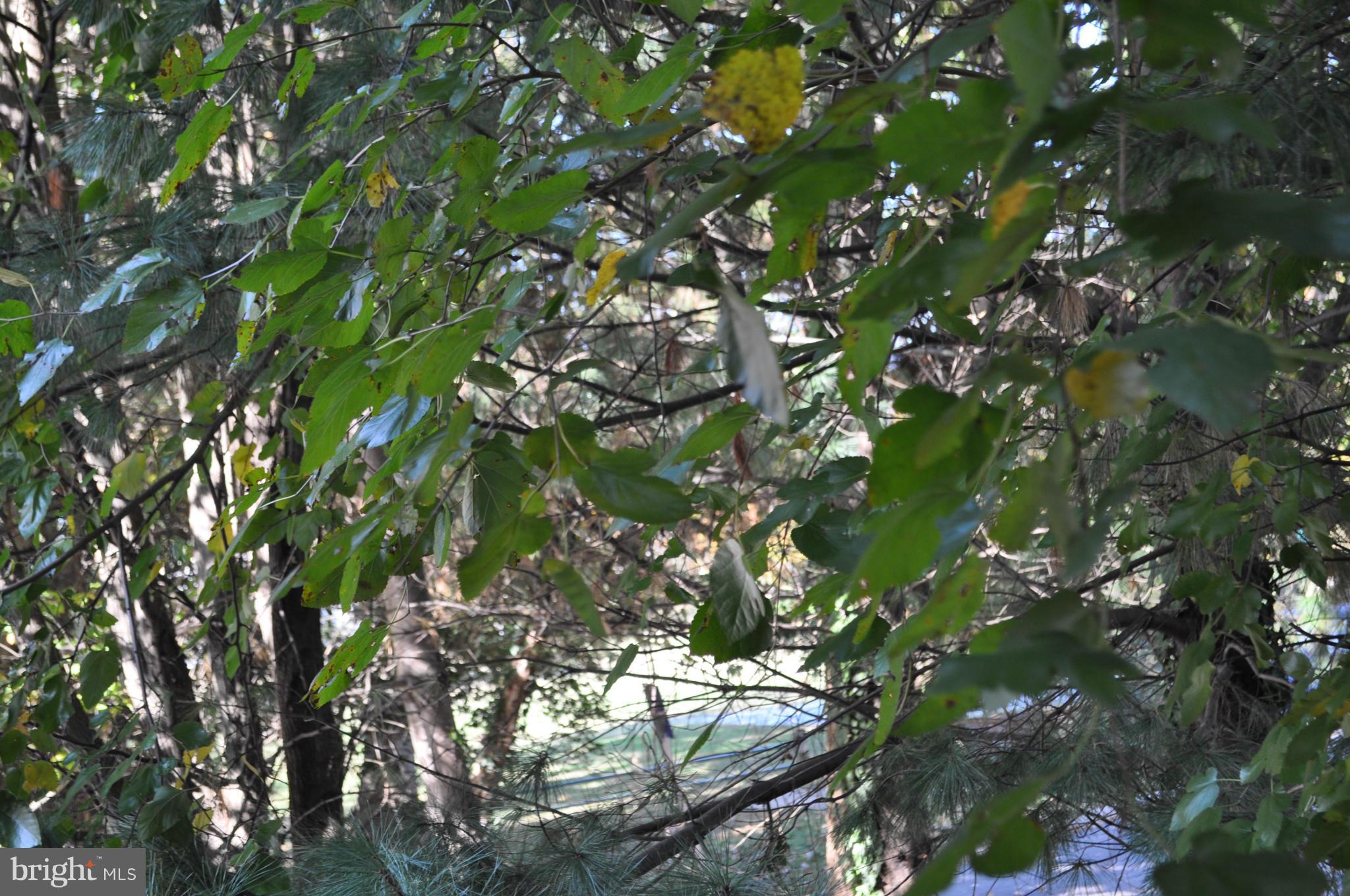 FENWICK COURT - Residential