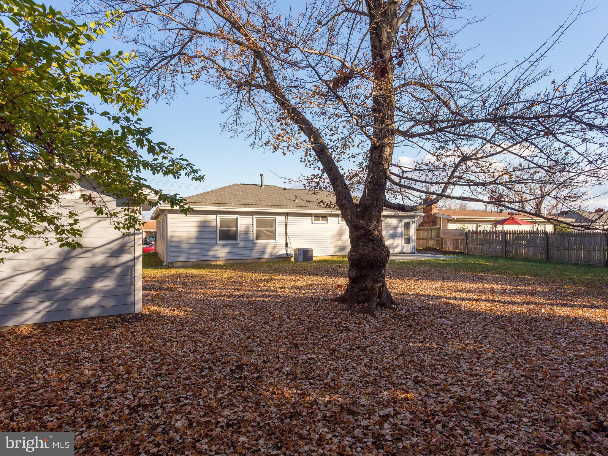 SPRINGFIELD ESTATES - Residential Lease