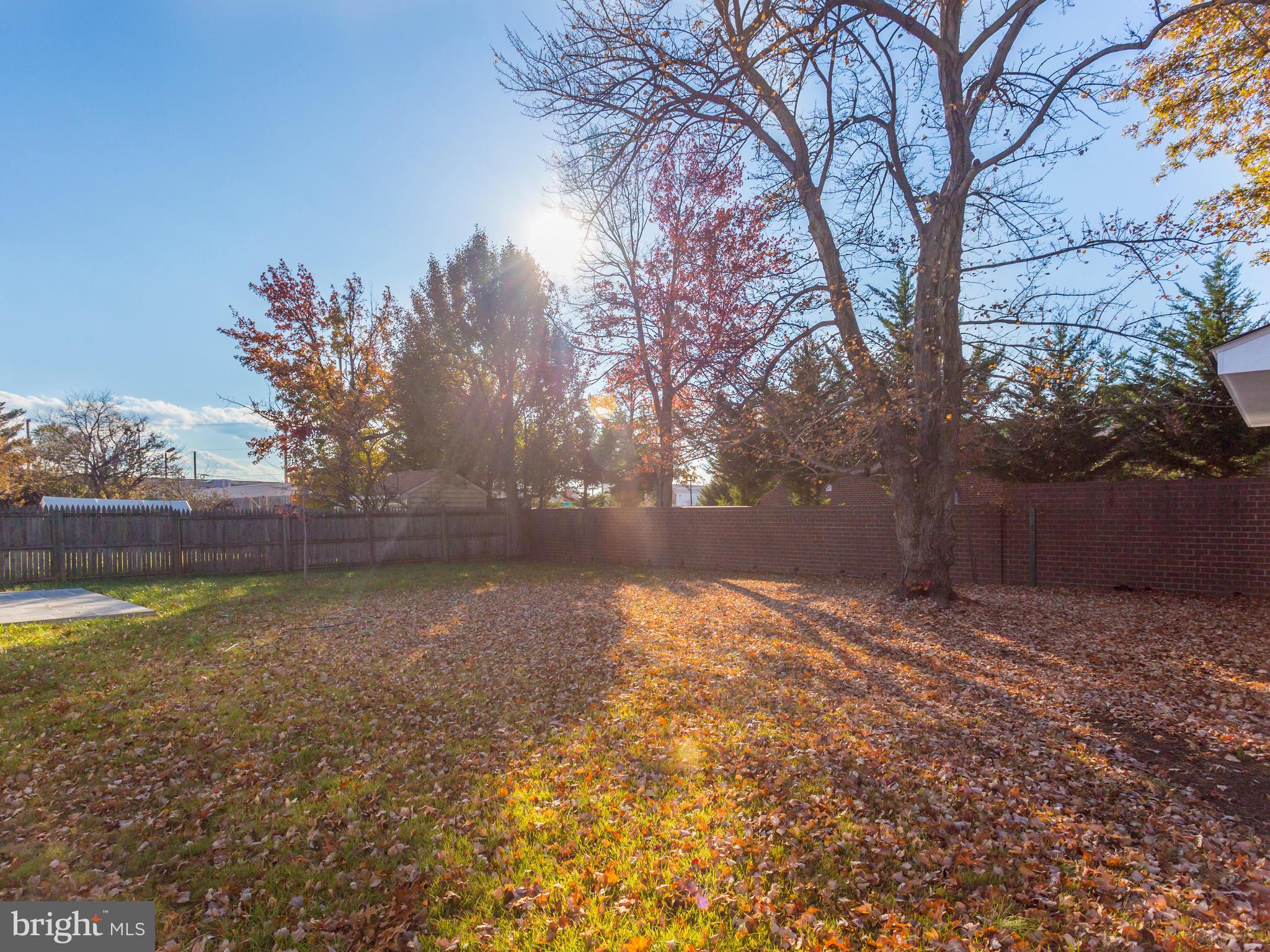 SPRINGFIELD ESTATES - Residential Lease