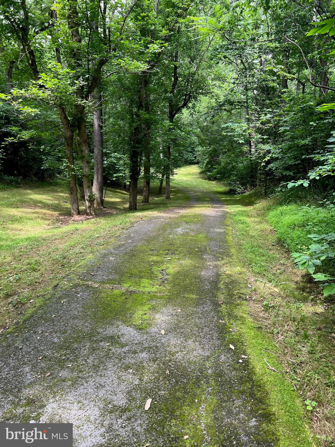 POTOMAC RIVER FARMS - Land