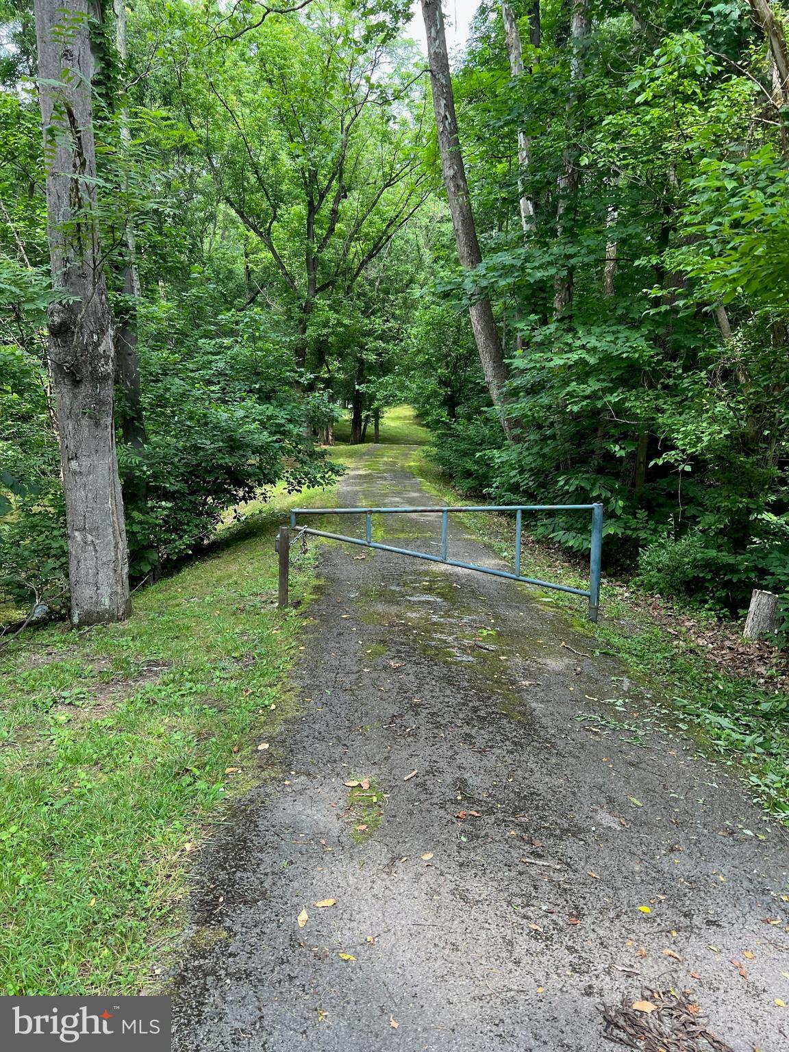 POTOMAC RIVER FARMS - Land