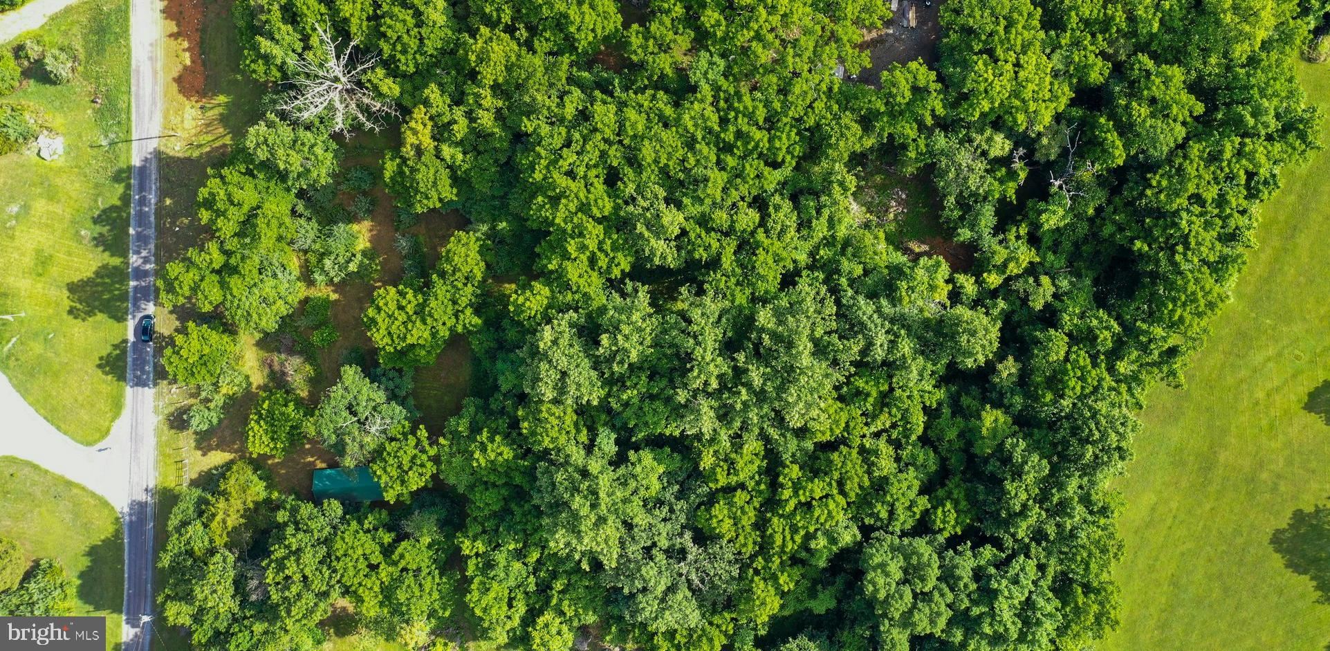 POTOMAC RIVER FARMS - Land