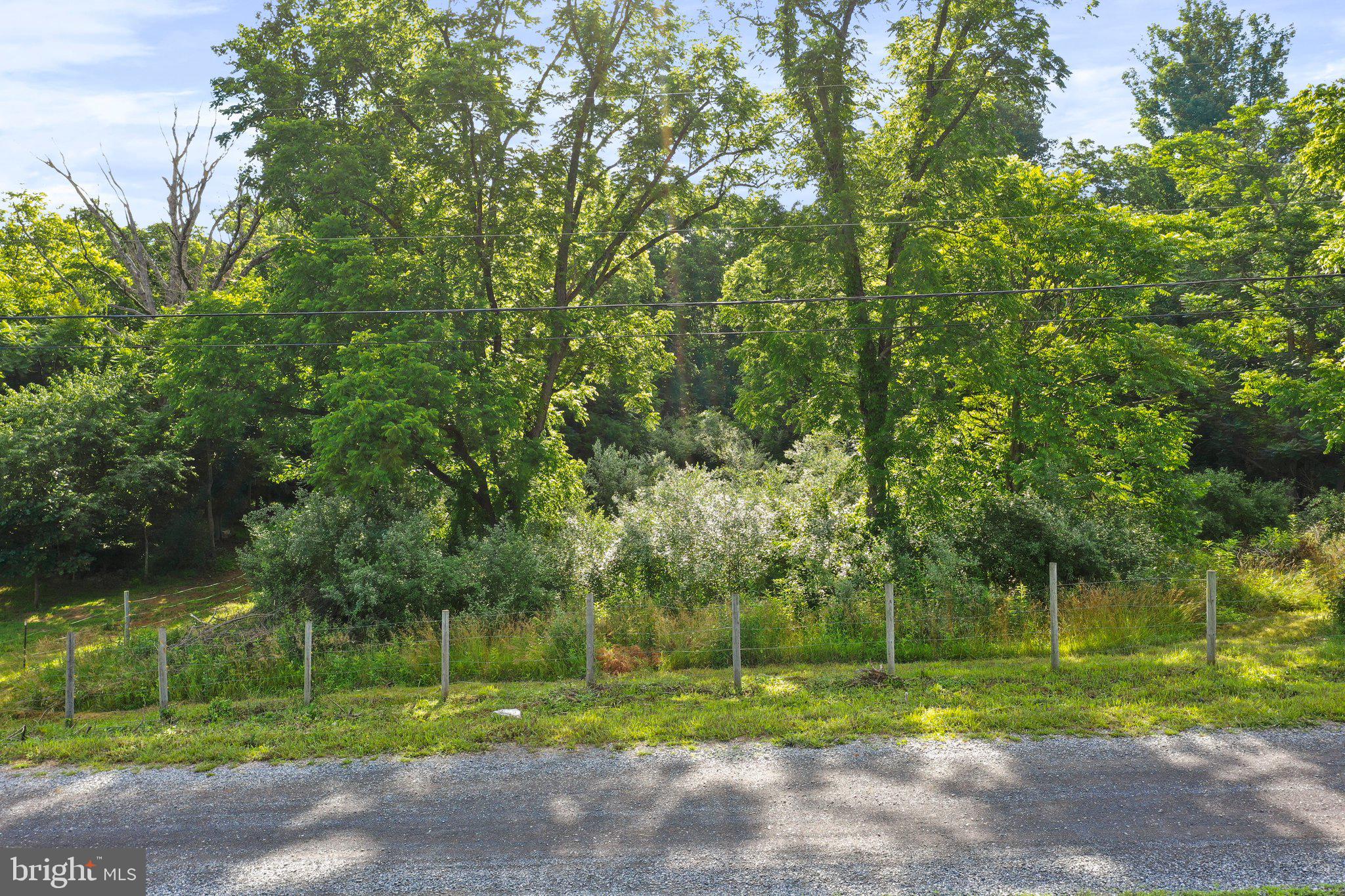 POTOMAC RIVER FARMS - Land