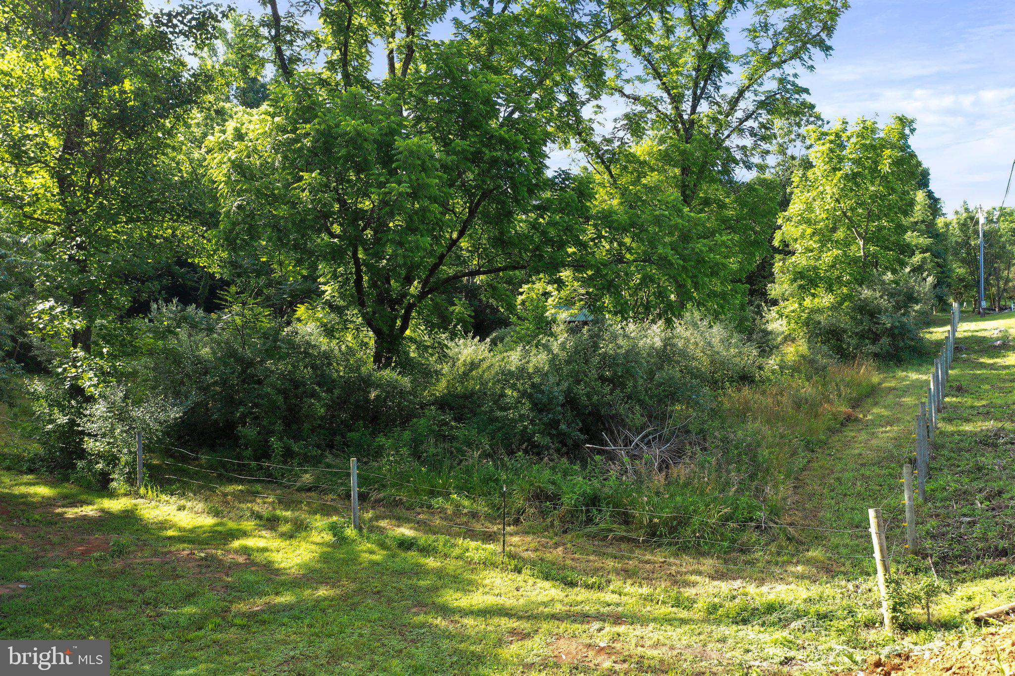 POTOMAC RIVER FARMS - Land