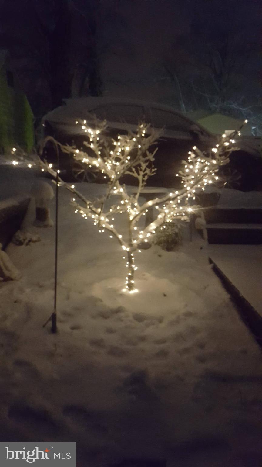 SYLVAN SHORES - Residential