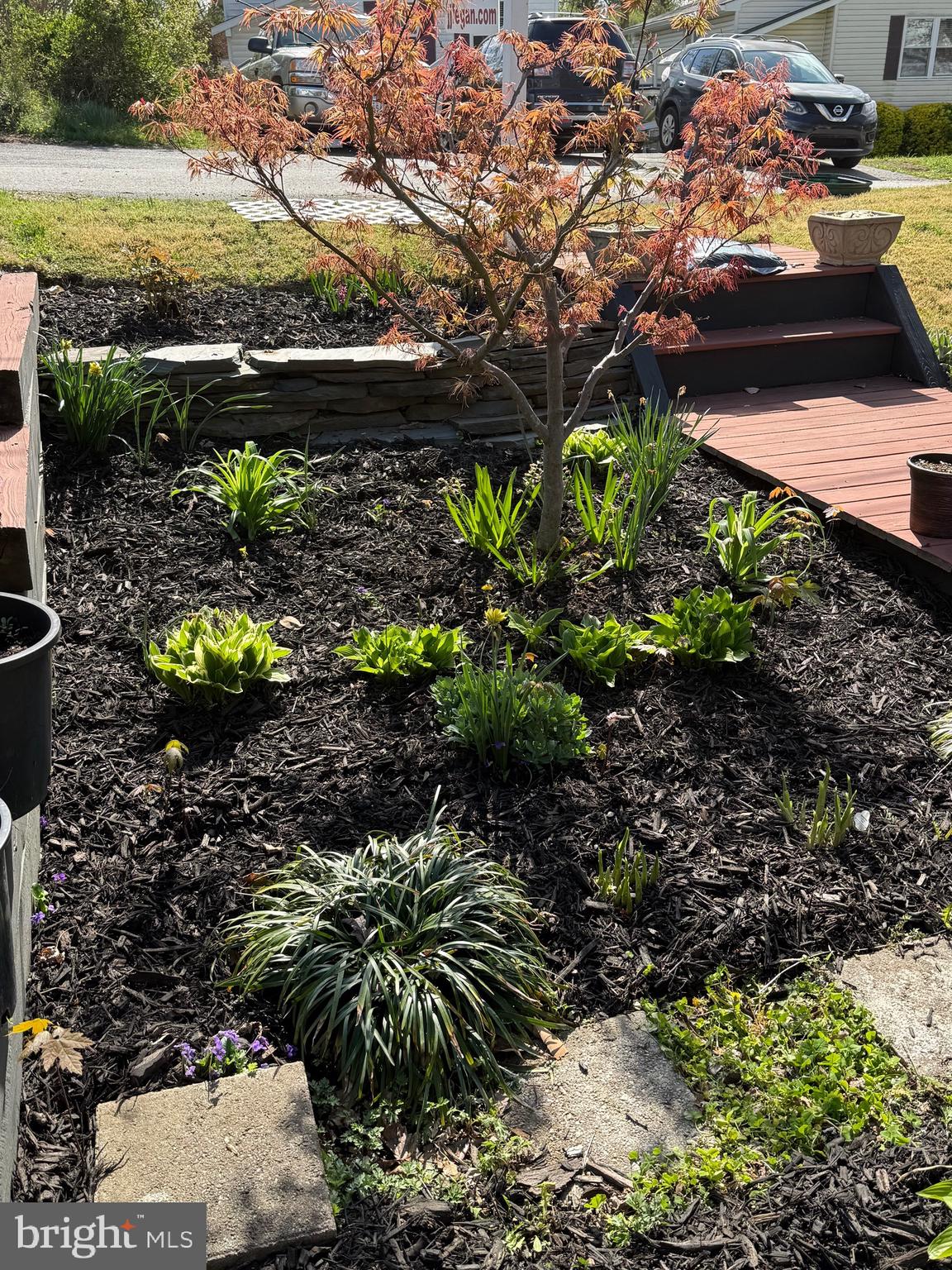 SYLVAN SHORES - Residential