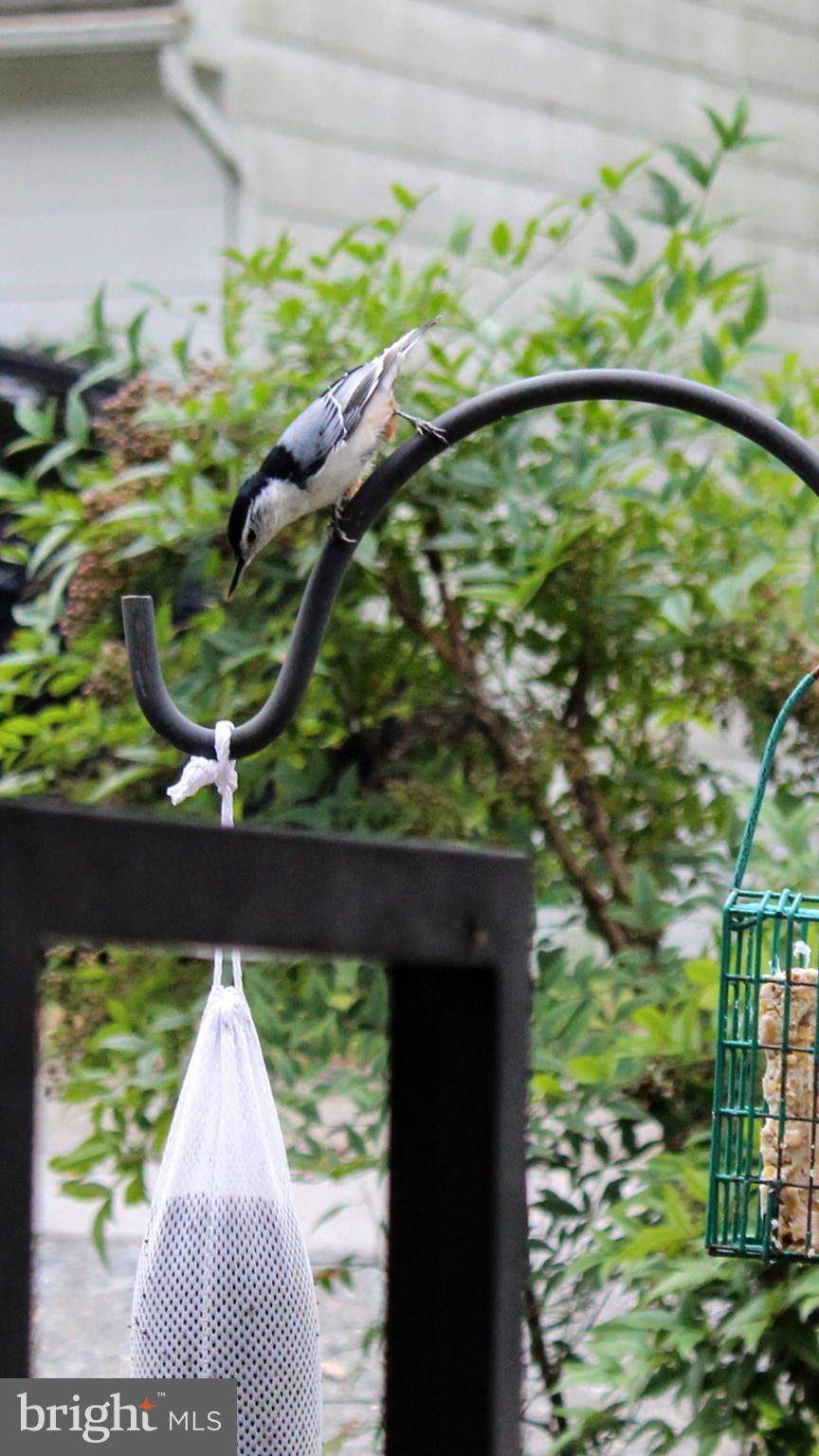 SYLVAN SHORES - Residential