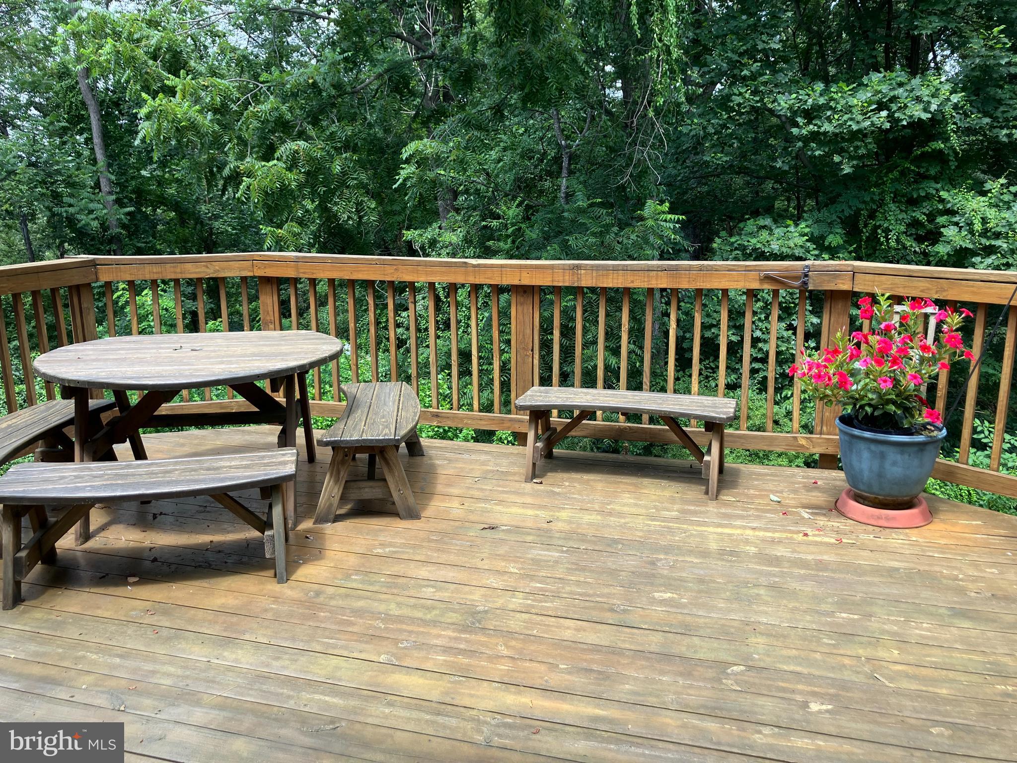 8876 BRIARCLIFF LANE