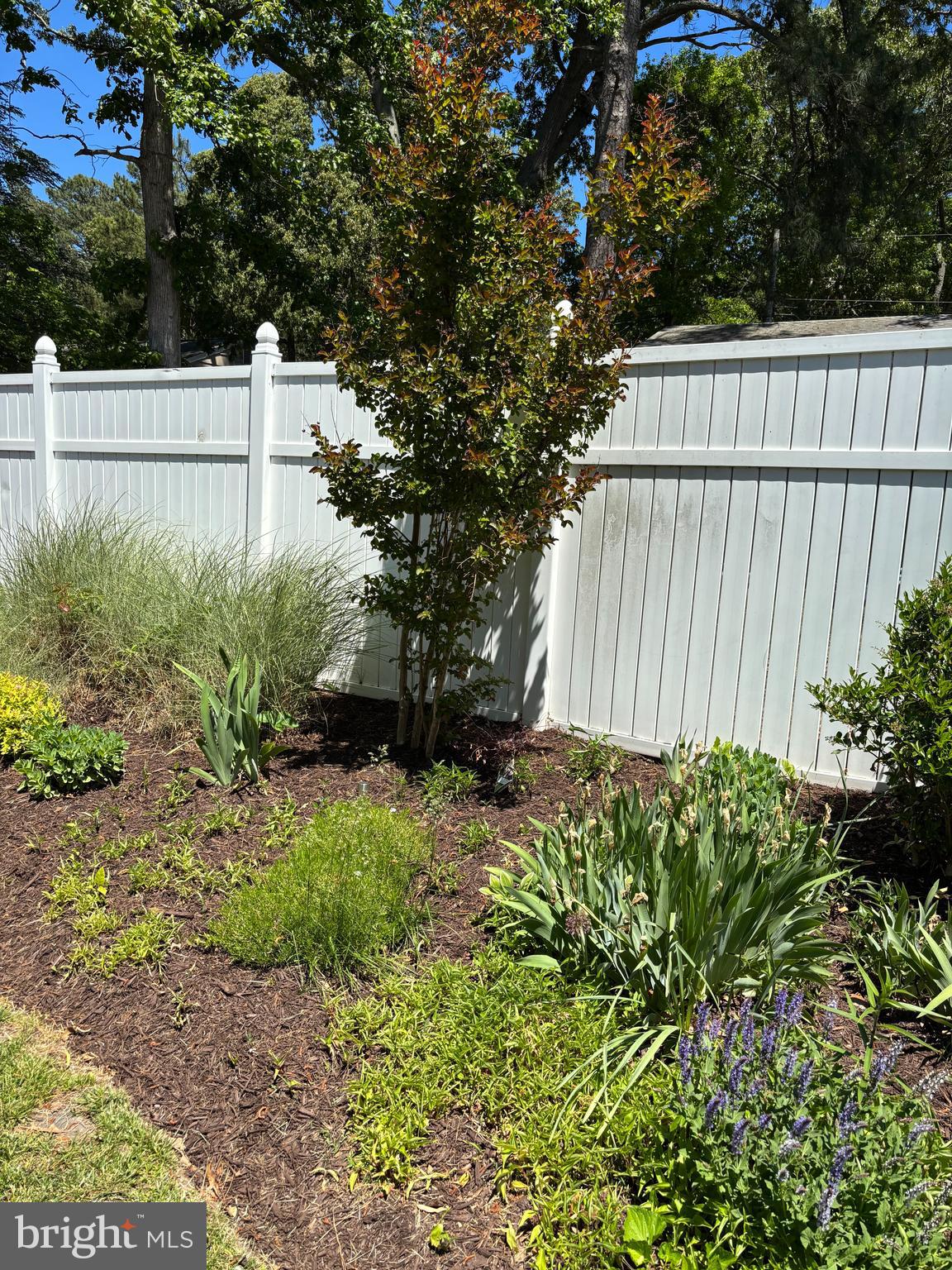 SEABRIGHT VILLAGE - Residential