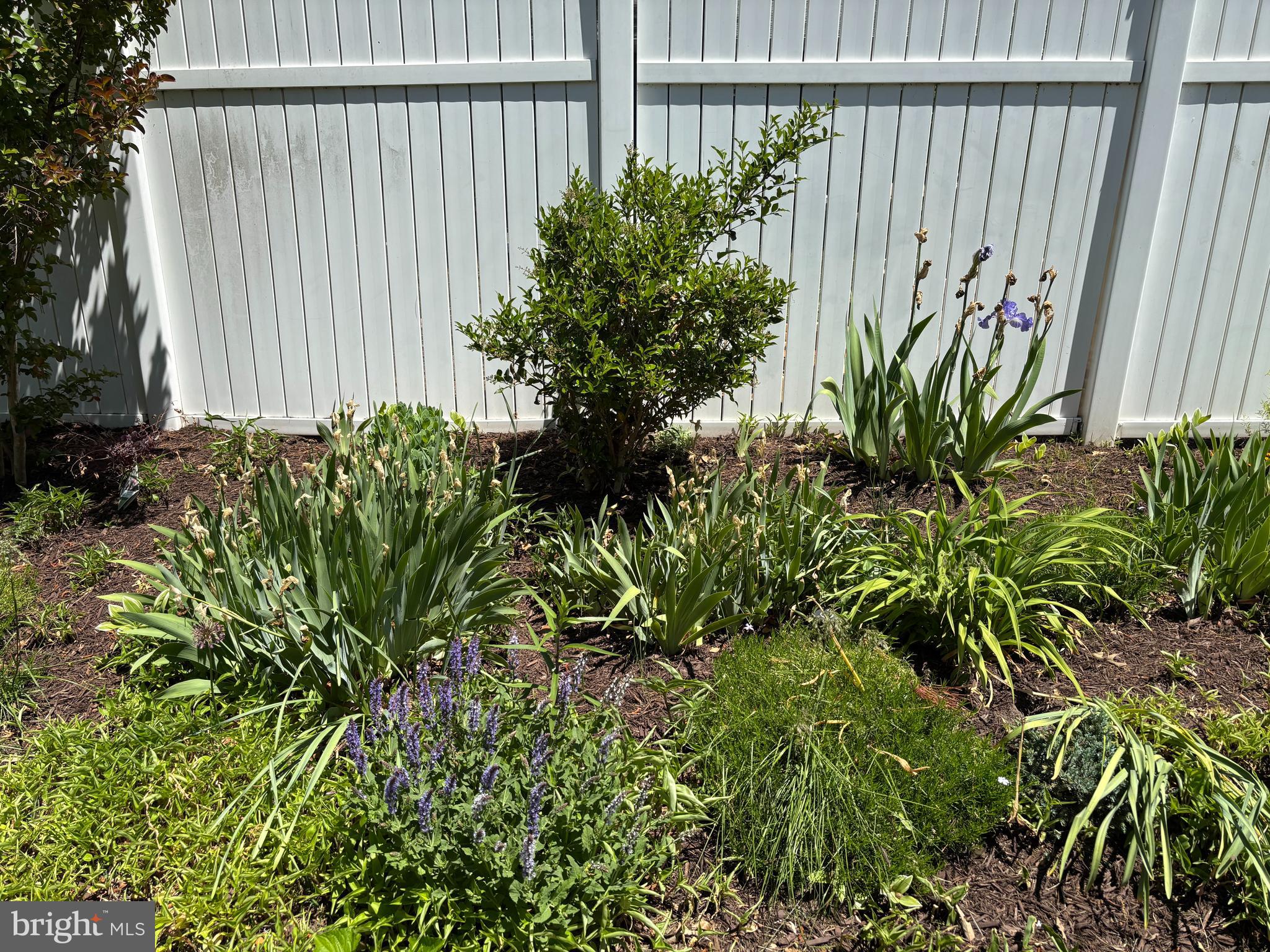 SEABRIGHT VILLAGE - Residential