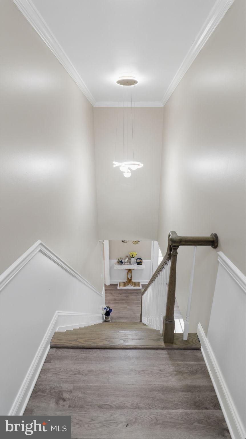 MAPLE FOREST - Residential