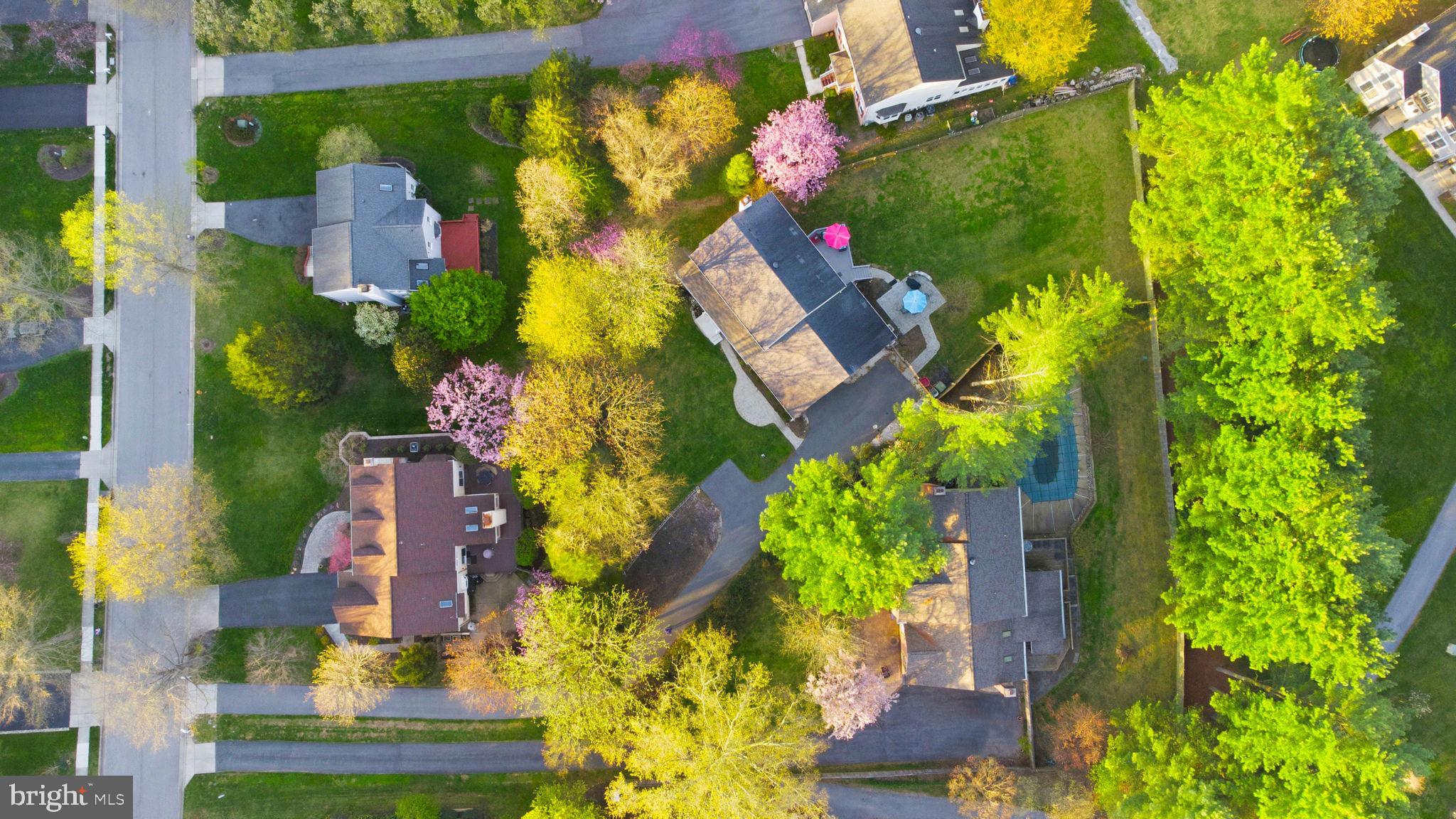 MAPLE FOREST - Residential