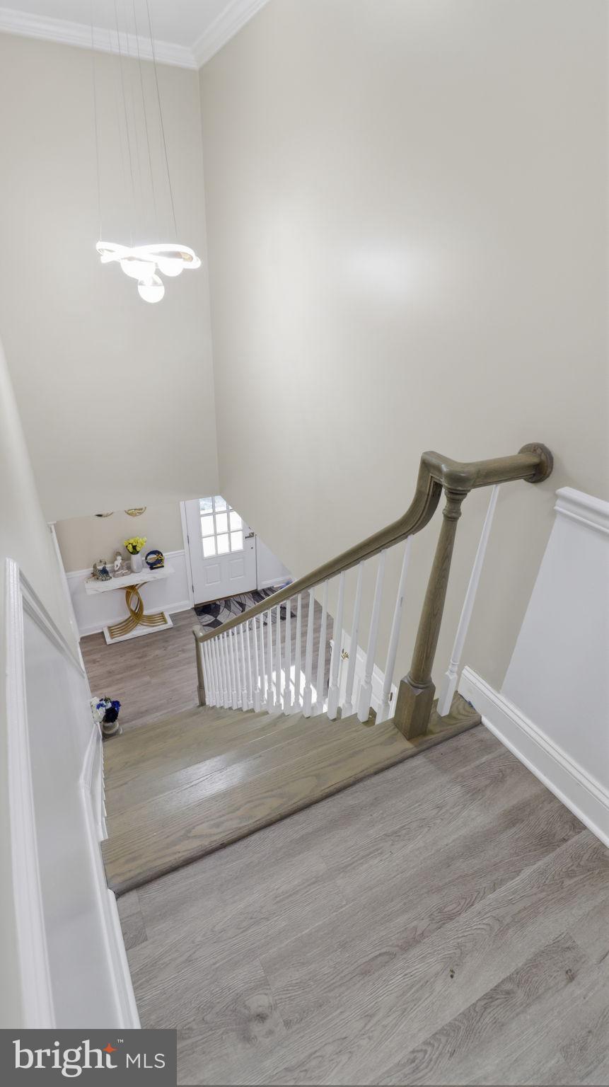 MAPLE FOREST - Residential